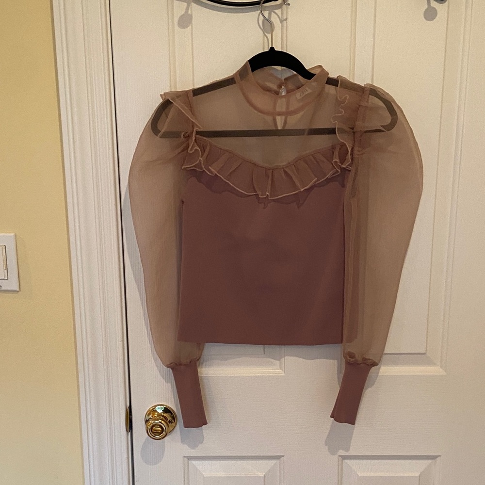 Zara Sheer Ruffle Blouse - Brown